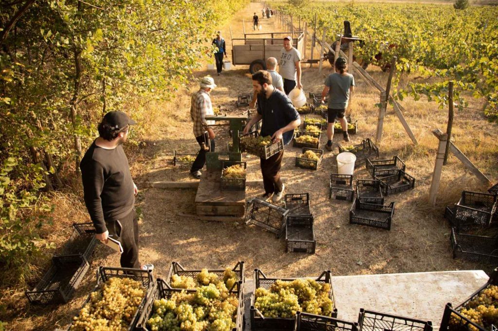 vineyard vines factory
